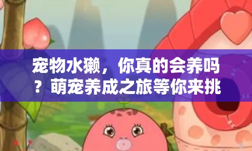 寵物水獺，你真的會養(yǎng)嗎？萌寵養(yǎng)成之旅等你來挑戰(zhàn)！