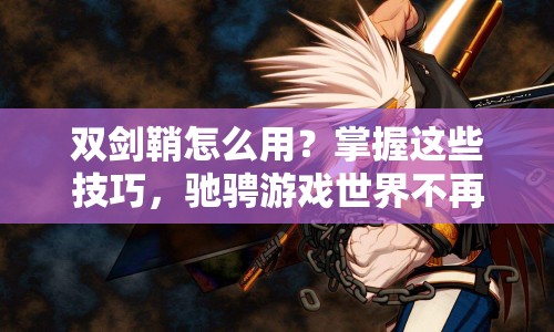 雙劍鞘怎么用？掌握這些技巧，馳騁游戲世界不再是夢！