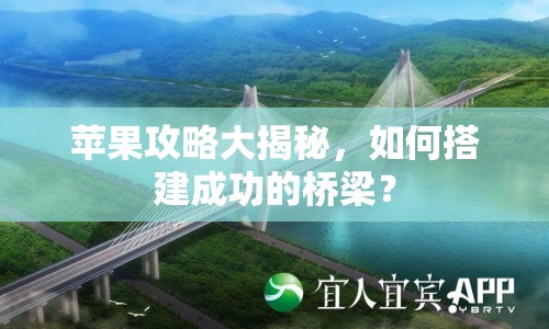蘋果攻略大揭秘，如何搭建成功的橋梁？