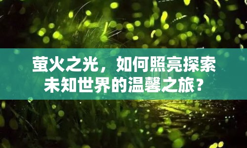 螢火之光，如何照亮探索未知世界的溫馨之旅？