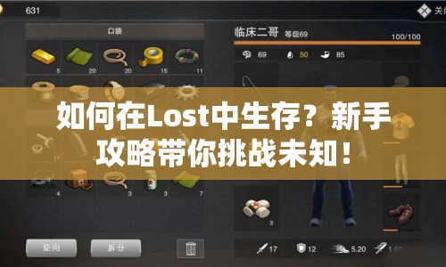 如何在Lost中生存？新手攻略帶你挑戰(zhàn)未知！