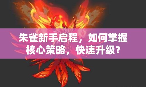 朱雀新手啟程，如何掌握核心策略，快速升級(jí)？