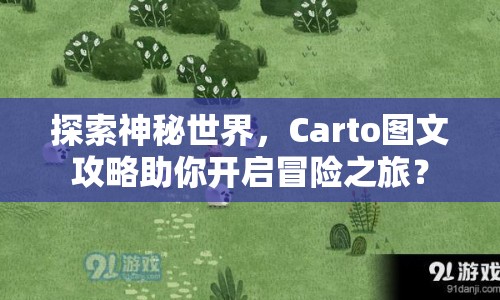 探索神秘世界，Carto圖文攻略助你開啟冒險之旅？