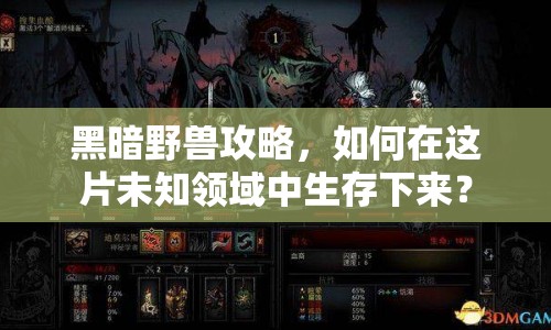 黑暗野獸攻略，如何在這片未知領(lǐng)域中生存下來？