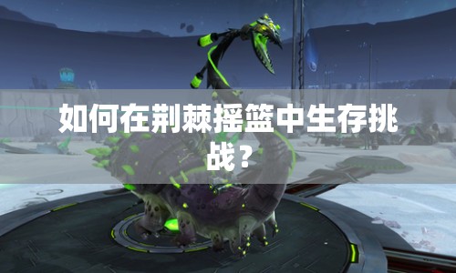 如何在荊棘搖籃中生存挑戰(zhàn)？
