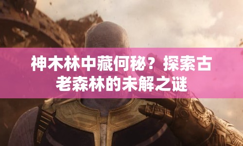 神木林中藏何秘？探索古老森林的未解之謎