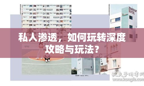 私人滲透，如何玩轉深度攻略與玩法？