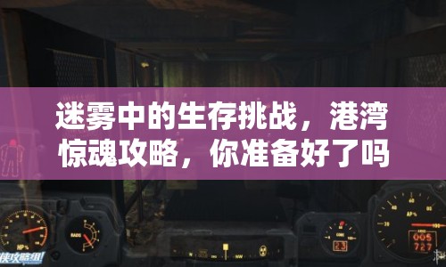 迷霧中的生存挑戰(zhàn)，港灣驚魂攻略，你準備好了嗎？