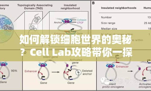 如何解鎖細(xì)胞世界的奧秘？Cell Lab攻略帶你一探究竟！