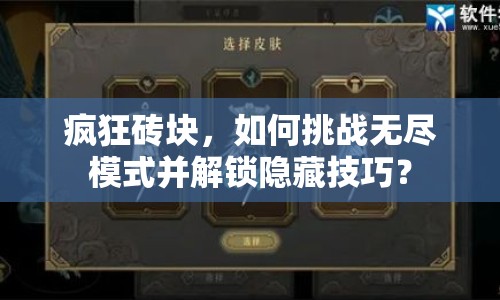 瘋狂磚塊，如何挑戰(zhàn)無盡模式并解鎖隱藏技巧？