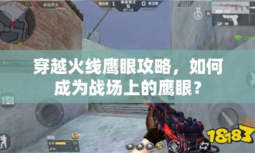 穿越火線(xiàn)鷹眼攻略，如何成為戰(zhàn)場(chǎng)上的鷹眼？