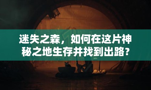 迷失之森，如何在這片神秘之地生存并找到出路？