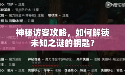 神秘訪客攻略，如何解鎖未知之謎的鑰匙？