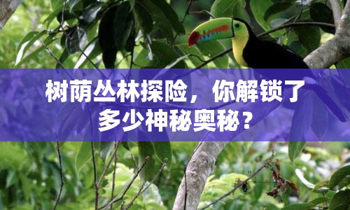 樹蔭叢林探險，你解鎖了多少神秘奧秘？