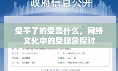 受不了的受是什么，網(wǎng)絡(luò)文化中的受現(xiàn)象探討