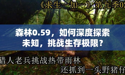 森林0.59，如何深度探索未知，挑戰(zhàn)生存極限？
