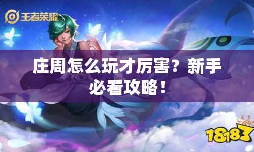 莊周怎么玩才厲害？新手必看攻略！