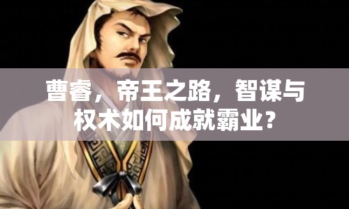 曹睿，帝王之路，智謀與權(quán)術(shù)如何成就霸業(yè)？