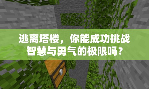 逃離塔樓，你能成功挑戰(zhàn)智慧與勇氣的極限嗎？