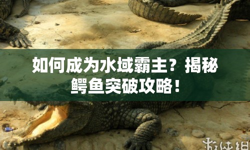 如何成為水域霸主？揭秘鱷魚突破攻略！