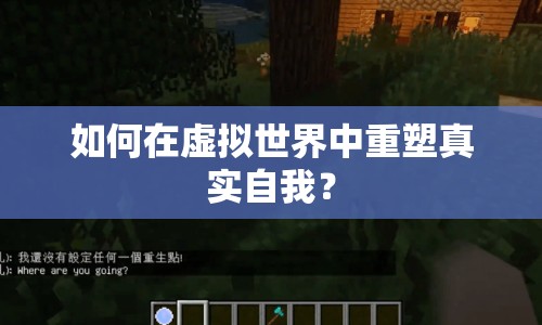 如何在虛擬世界中重塑真實(shí)自我？