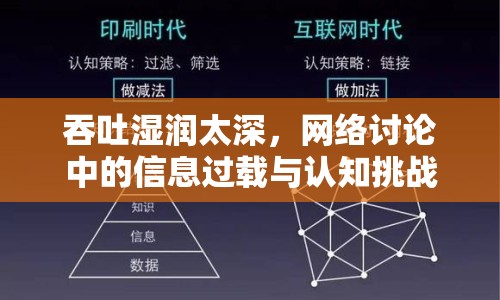 吞吐濕潤太深，網(wǎng)絡(luò)討論中的信息過載與認(rèn)知挑戰(zhàn)