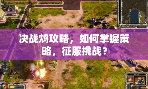 決戰(zhàn)鴆攻略，如何掌握策略，征服挑戰(zhàn)？