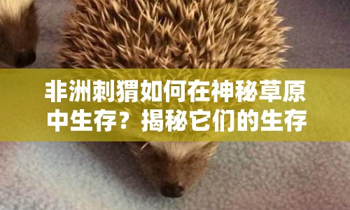 非洲刺猬如何在神秘草原中生存？揭秘它們的生存挑戰(zhàn)！