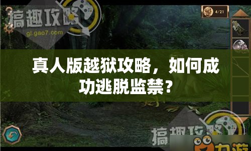 真人版越獄攻略，如何成功逃脫監(jiān)禁？