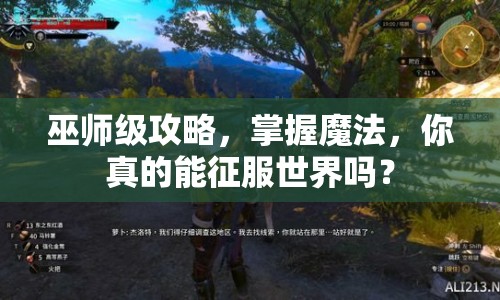 巫師級攻略，掌握魔法，你真的能征服世界嗎？