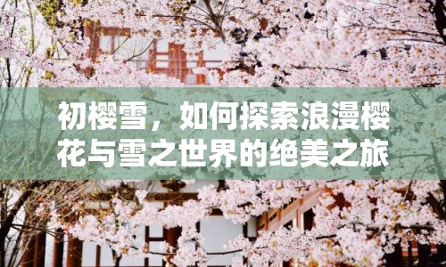 初櫻雪，如何探索浪漫櫻花與雪之世界的絕美之旅？