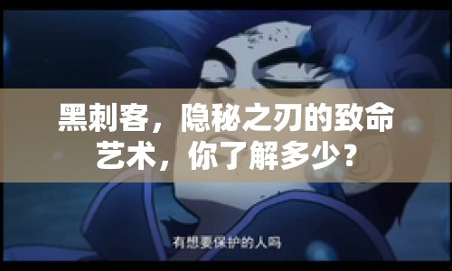 黑刺客，隱秘之刃的致命藝術(shù)，你了解多少？