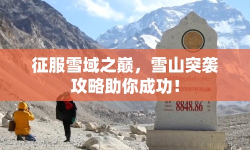 征服雪域之巔，雪山突襲攻略助你成功！