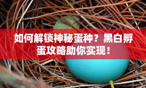 如何解鎖神秘蛋種？黑白孵蛋攻略助你實現(xiàn)！