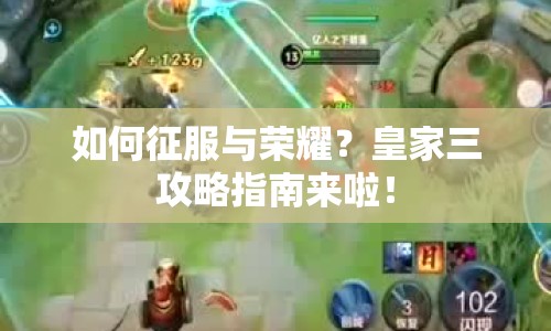 如何征服與榮耀？皇家三攻略指南來(lái)啦！