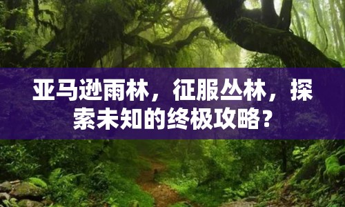 亞馬遜雨林，征服叢林，探索未知的終極攻略？