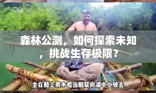森林公測，如何探索未知，挑戰(zhàn)生存極限？