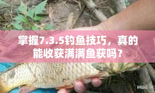 掌握7.3.5釣魚技巧，真的能收獲滿滿魚獲嗎？