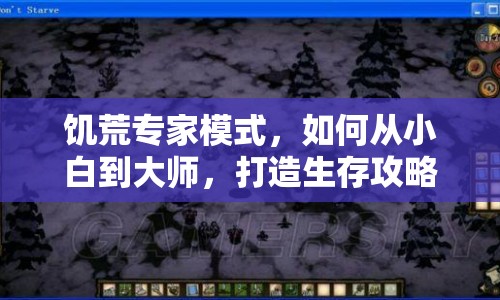 饑荒專家模式，如何從小白到大師，打造生存攻略？