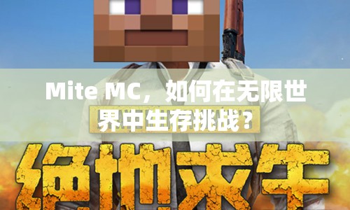 Mite MC，如何在無(wú)限世界中生存挑戰(zhàn)？