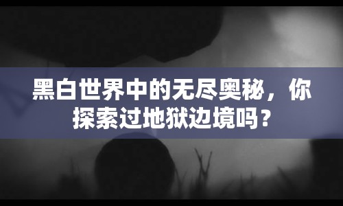 黑白世界中的無盡奧秘，你探索過地獄邊境嗎？