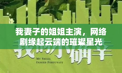 我妻子的姐姐主演，網(wǎng)絡劇緣起云端的璀璨星光