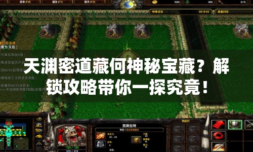 天淵密道藏何神秘寶藏？解鎖攻略帶你一探究竟！