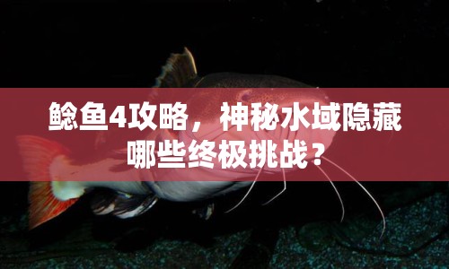 鯰魚4攻略，神秘水域隱藏哪些終極挑戰(zhàn)？