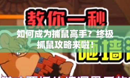 如何成為捕鼠高手？終極抓鼠攻略來啦！