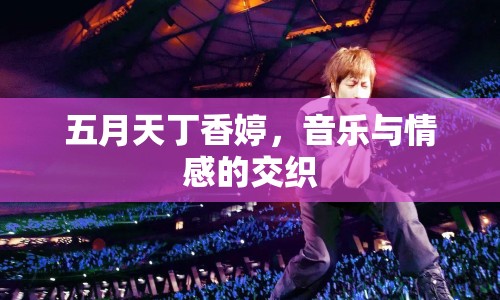 五月天丁香婷，音樂與情感的交織