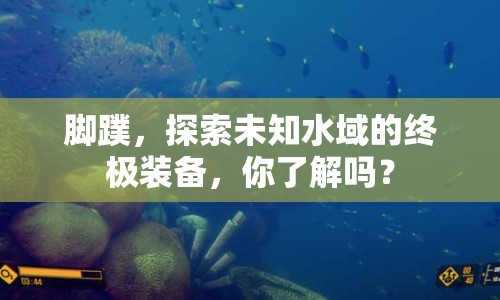 腳蹼，探索未知水域的終極裝備，你了解嗎？