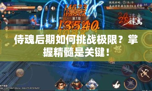 侍魂后期如何挑戰(zhàn)極限？掌握精髓是關(guān)鍵！