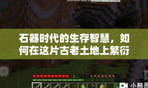 石器時代的生存智慧，如何在這片古老土地上繁衍生息？