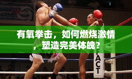 有氧拳擊，如何燃燒激情，塑造完美體魄？